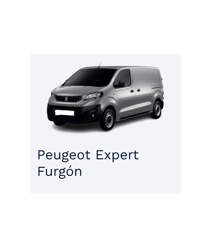 PEUGEOT EXPERT FURGON...
